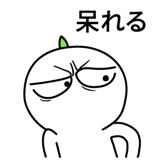 537669768