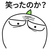 537669775