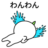 537669776
