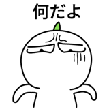 537669777