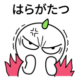 537669780