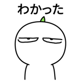 537669790