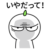 537669792