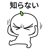 537669793