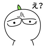 537669794