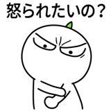537669795