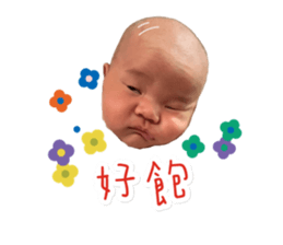 537733494