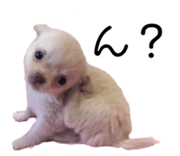 537803835