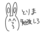 537805202