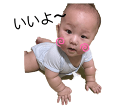 537821041