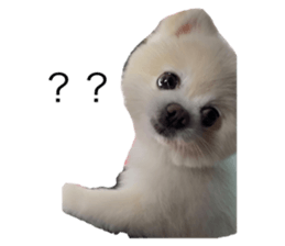 537831404