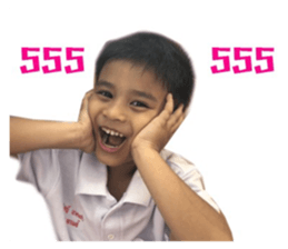 53784579