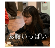537847155