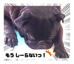 537868312