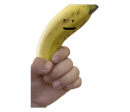 537885021