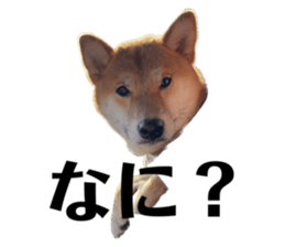 537898403