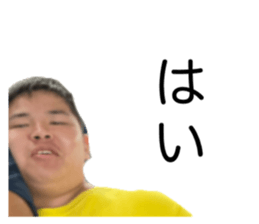 537900896