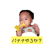 537903904