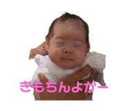 537903911