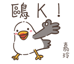 537906037