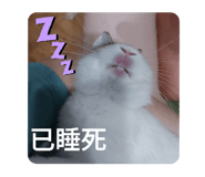 537936799