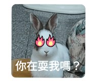 537936805