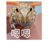 537937519