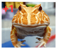 537937530
