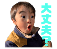 537945704
