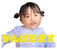 537945706
