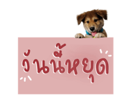 538006047