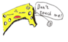 538020648