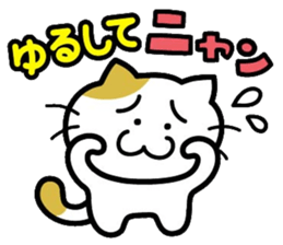 538026