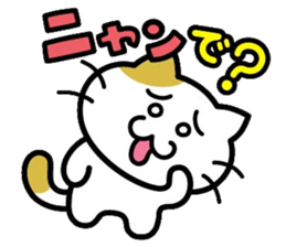 538030