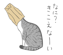 538035