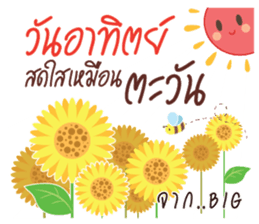 538046316