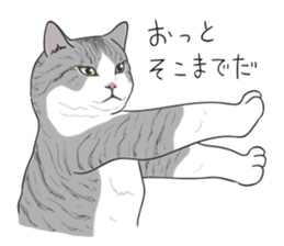 538056