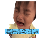 538056426