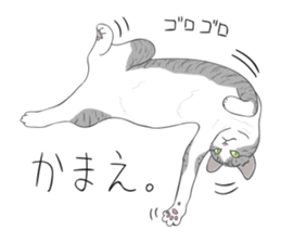 538059