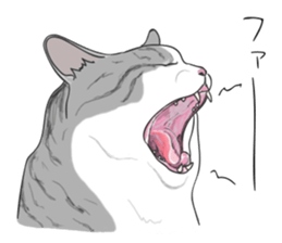 538060