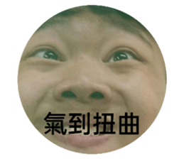 538062337