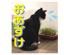 538062794
