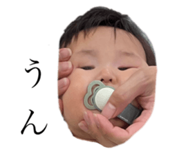 538063003