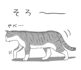 538065
