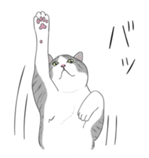 538066