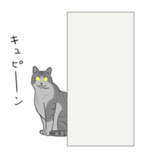 538068