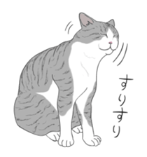 538070