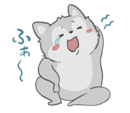 538073023