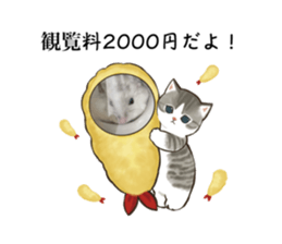 538090019