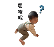 538097519